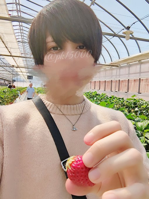 いちご狩り。 https://t.co/bWWn52DuOo<a href="/tag/%E3%83%9D%E3%83%83%E3%82%AD%E3%83%BC%E3%83%97%E3%83%AA%E3%83%83%E3%83%84%E3%81%AE%E6%97%A5"class="tags"><span>#ポッキープリッツの日</span></a>