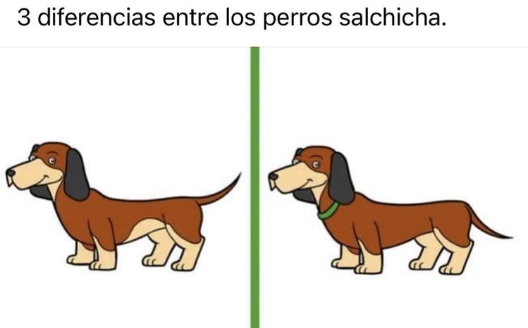 Dr. Alberto Blázquez tweet media