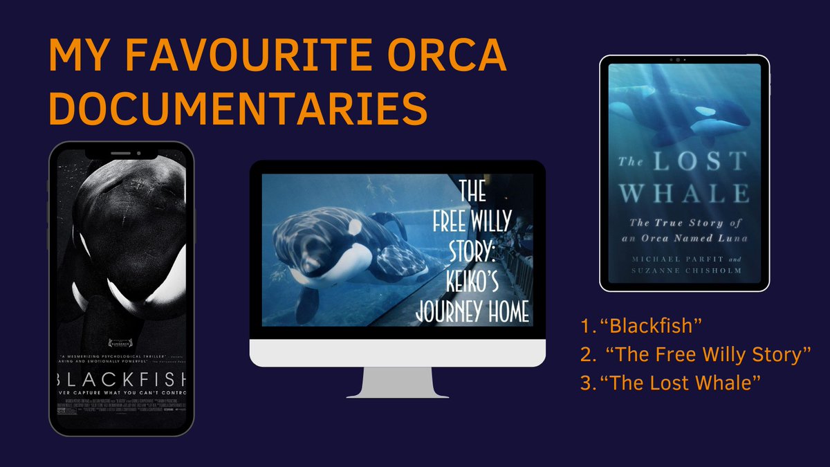 I don't even know anymore which one made me cry the most.😪 Have you seen those documentaries? If so, which one did you like best?

Let me know what your favourite orca documentaries are in the comments down below 🤗

#josea #orcadocumentaries