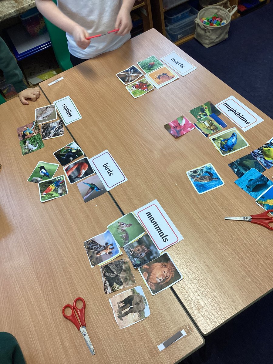 Year1Markeaton's tweet image. Oak class have been classifying animals #mpsscience