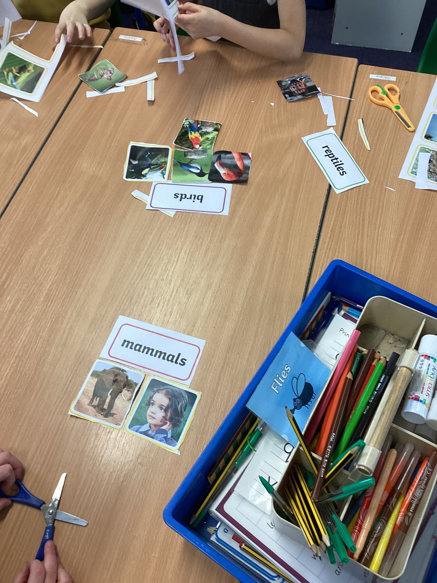Year1Markeaton's tweet image. Oak class have been classifying animals #mpsscience