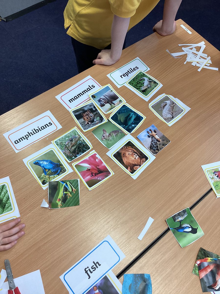 Year1Markeaton's tweet image. Oak class have been classifying animals #mpsscience