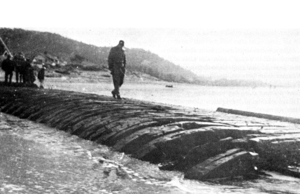 These four sailors, one with a broken arm, had to paddle and sail their fast-leaking lifeboat 200 miles from Rockaway Beach to Puget Sound to survive the shipwreck of the Emily G. Reed. The story is on the podcast feed today!
Podcast feed (via Spotify): open.spotify.com/show/6hwzJApXg…