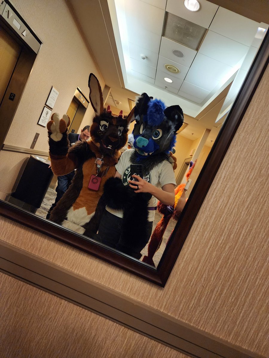 GabePunkBoi's tweet photo. Had a fantastic time at #TFF2023 with all the homies! Miss you guys! ❤❤ @Slushiekins @Kodiaksnacc @TwiggsnBranches @Yasha_Bnuuy 

#Furry #Fursuiter #Fursuiters #Furries #Burnetts https://t.co/cVFde031Ws