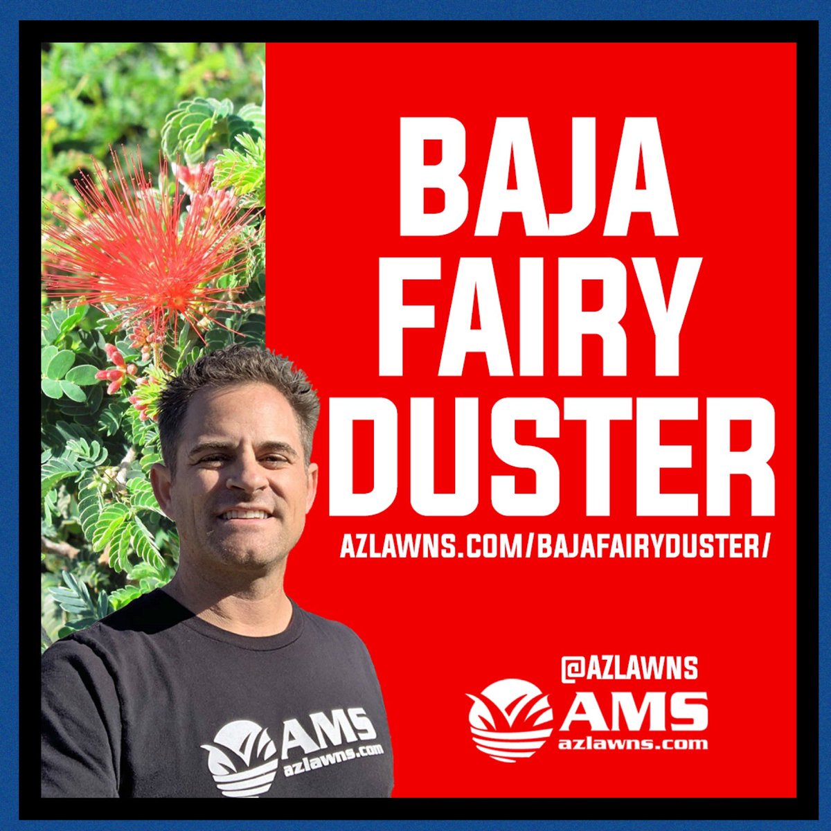 azlawns's tweet photo. Check out our video blog on the Baja Fairy Duster shrub. Ask @AMS_Landscaping questions about these bushes.
https://t.co/x7q4RuXPNn
#bajafairyduster #azlawns #amslandscaping #lawncare #landscaping #phoenixarizona #cleanup #landscaper #azfamily #azcentral #abc15 #fox10phoenix https://t.co/rVHS6J2F3N