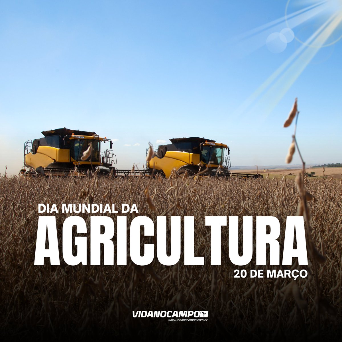 vidanocampobr's tweet photo. O trabalho que alimenta o mundo, a paixão que move nossos dias! 🌱🤠

20 de Março - Dia Mundial da Agricultura. https://t.co/lDuBs4TSmw