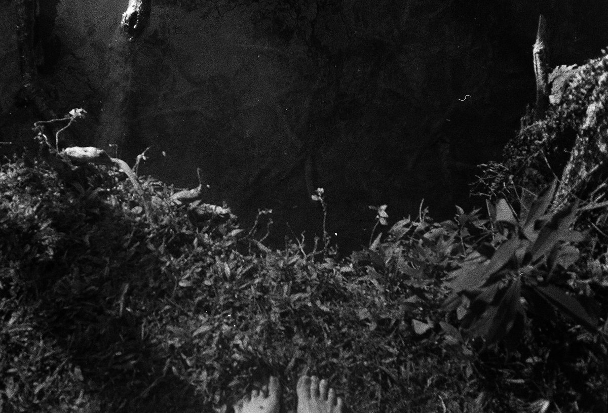 My new 1/1 collection of self portrait "Under Water" 🤍

Black and white 35mm film, developed through the spirulina plant by Samanta Ortega. 

objkt.com/collection/KT1… 
Link photos ⬇️