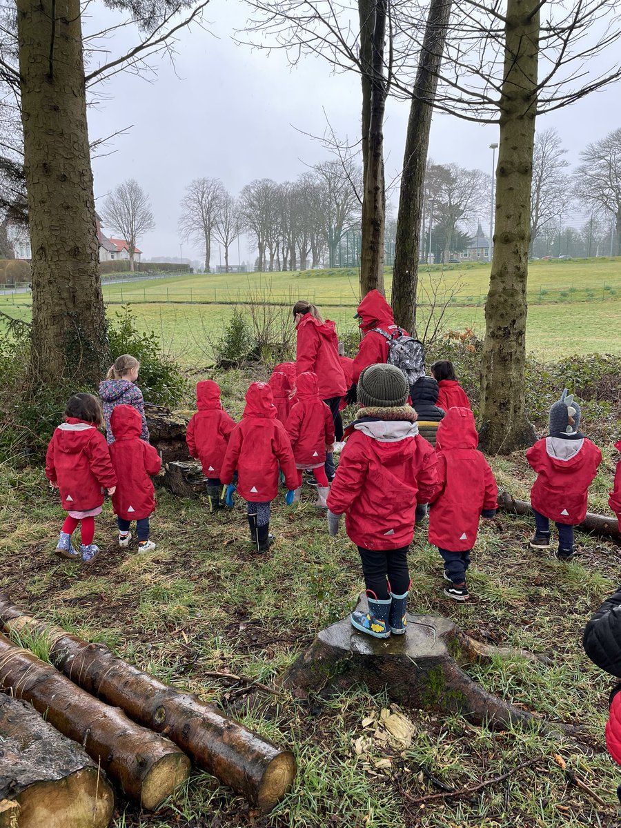 Mini beast hunt time ….. we found a centipede, a worm 🪱 ,a wood louse , a slug and a snail in the woods beside our nursery - we left them all in the woods where they belong 🌳 🐌 🕸️🕷️🦟🐞🐝🐛🦋#minibeasthunt #minibeasttopic #childsvoice #outdoorclassroom