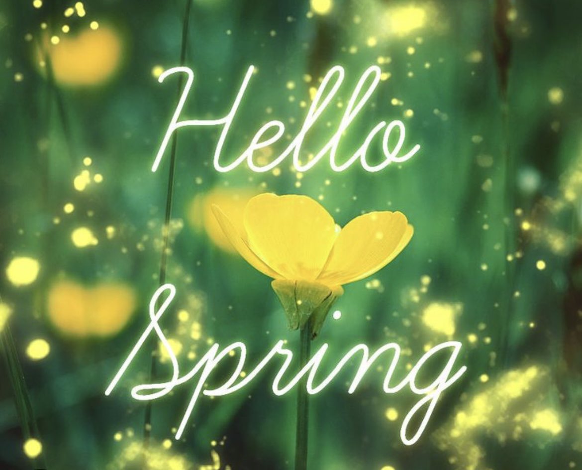 🌼✨ Happy First Day of Spring 2023: The Spring Equinox #goodbyewinter #hellospring 'Spring: a reminder of how beautiful change can truly be.'
— Unknown