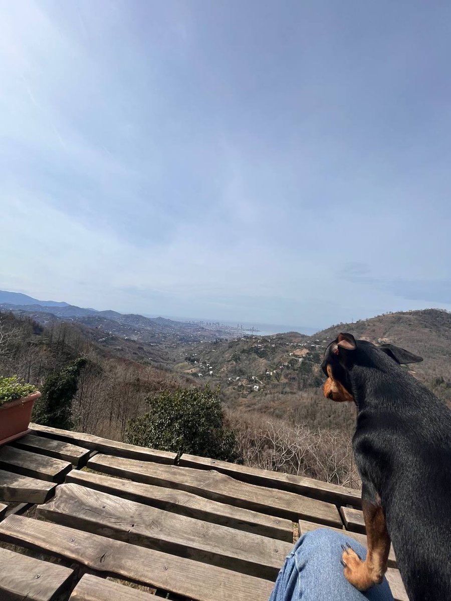 dao_realestate's tweet photo. The best place to relax and recharge in the mountains of Adjara ❤️ Do you want to join us?
👉 Join the DAO of exclusive real estate worldwide:
🌐 https://t.co/k3DWLFcXnF
📍Location: https://t.co/alQjDw6AEk
#door2haven #realestate #DAOs #realestatedao #restdao #DAO https://t.co/rqpvv51Oij