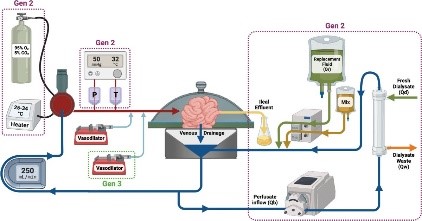 READ: “Orthotopic transplantation of the full-length porcine intestine after normothermic machine perfusion.” Abraham et al. <a href="/GonzalezLiara/">Liara Gonzalez</a> <a href="/TXPDirect/">TransplantDirect</a> (ORIP support through K01OD019911) #TransplantTwitter 
pubmed.ncbi.nlm.nih.gov/36299444/