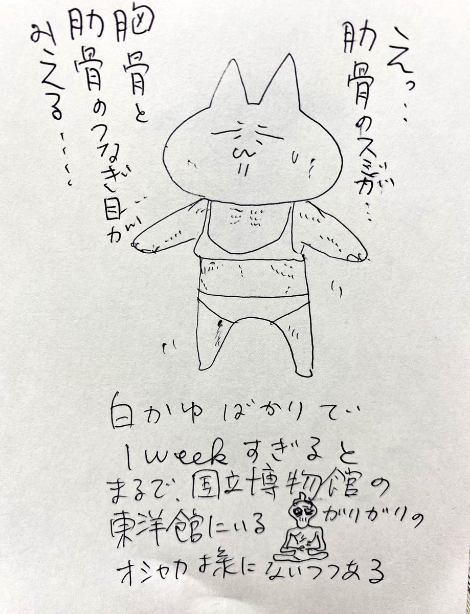 鏡を見て
自分で胸骨触っちゃった、思わず
「あったんだ、私にも！」

食べたいんだけど
食べると胃が痛い https://t.co/JNDTpGvrFe