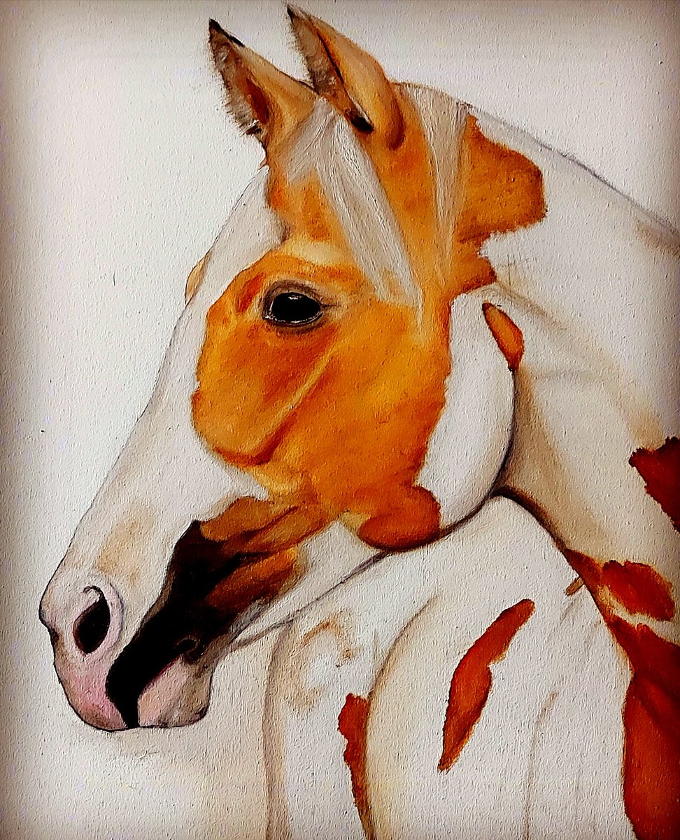 Juan Martinez (@juanito4eth) on Twitter photo 