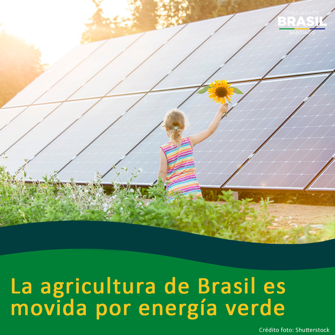 La matriz energética de 🇧🇷 cuenta con cerca de 45% de renovables, indicador más de 4 veces superior a la media de la OCDE. Solo en relación con la matriz eléctrica, más del 84% de la energía brasileña es renovable. Biocombustibles, como etanol, energía eólica y solar crecen en 🇧🇷