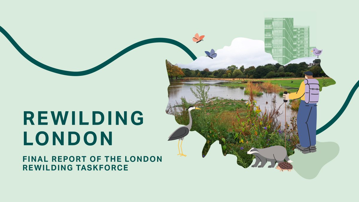 nickygavron's tweet photo. Delighted to have been co-chair of @MayorofLondon London Rewilding Taskforce with @BenGoldsmith. We’ve published our final recommendations today on #WorldRewildingDay. Read the report here: https://t.co/ZYrpjRsoF1 #RewildingLondon #Rewildinghope https://t.co/9axwby09AM