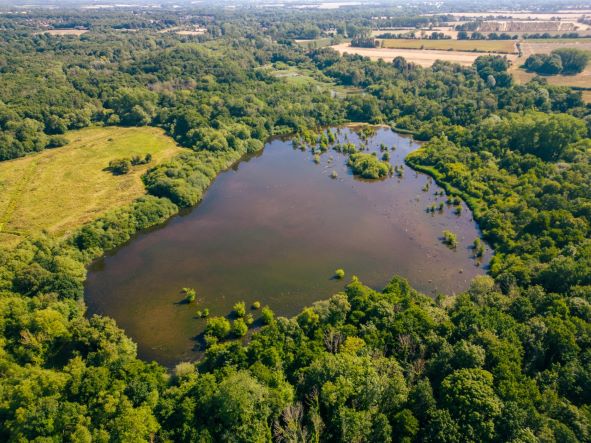 NWT Cley Marshes (@nwtcleycentre) on Twitter photo Nature restoration is TOP of the agenda for the recovery of our wildlife. Hear all about cutting edge work in this area with 2 talks in our events programme: First up Norfolk's <a href="/WendlingBeck/">Wendling Beck</a> project on 20th April at Cley: Tickets here nwtru.st/events 📷G. Anderson Nature restoration is TOP of the agenda for the recovery of our wildlife. Hear all about cutting edge work in this area with 2 talks in our events programme: First up Norfolk's <a href="/WendlingBeck/">Wendling Beck</a> project on 20th April at Cley: Tickets here nwtru.st/events 📷G. Anderson
