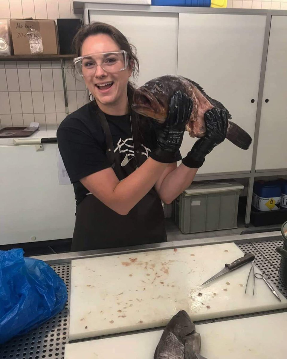 Submitted my PhD thesis entitled "Marine historical ecology of groupers (Epinephelidae) 
in the eastern Mediterranean utilising zooarchaeology, 
dietary isotopes, collagen sequencing, and peptide mass 
fingerprinting" this morning from Firenze!