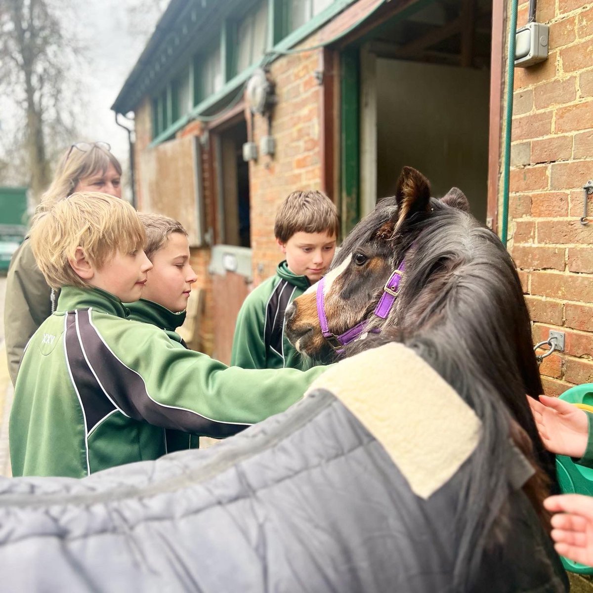 KESPreparatory's tweet photo. What better way  for #StroudY5 to prepare for their Highwayman poetry than to visit the school ponies to hear the sounds of the horses’ hooves, feel their saddles, and to smell their fur!
#StroudEnglish #Year5English #StroudCreativity #TheHighwayman #StroudFarm #ForeverUndaunted https://t.co/ocgNp4yZiW