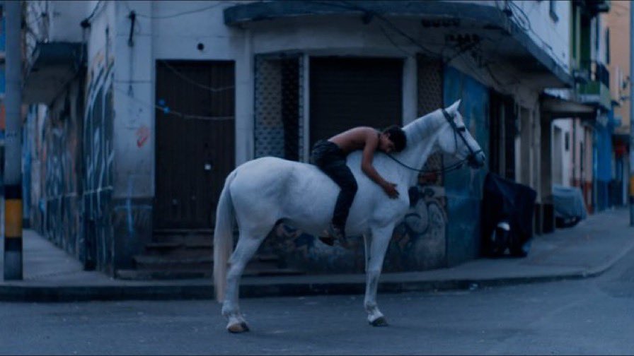 carlota :(( tweet media