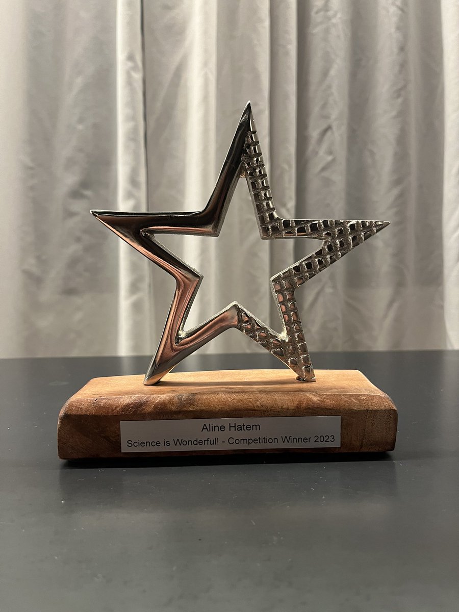 Aline Hatem tweet media