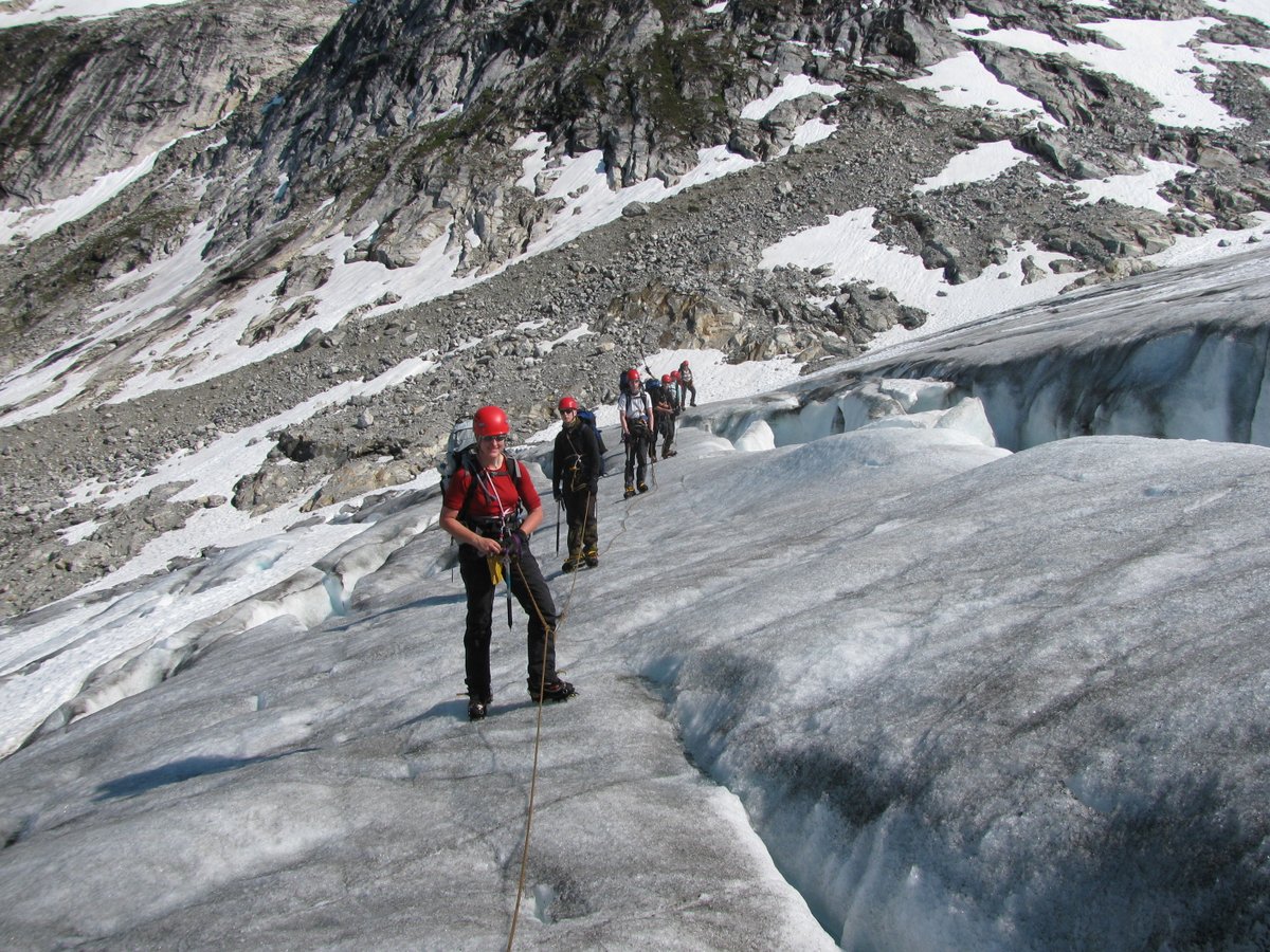 The Mount School York tweet media