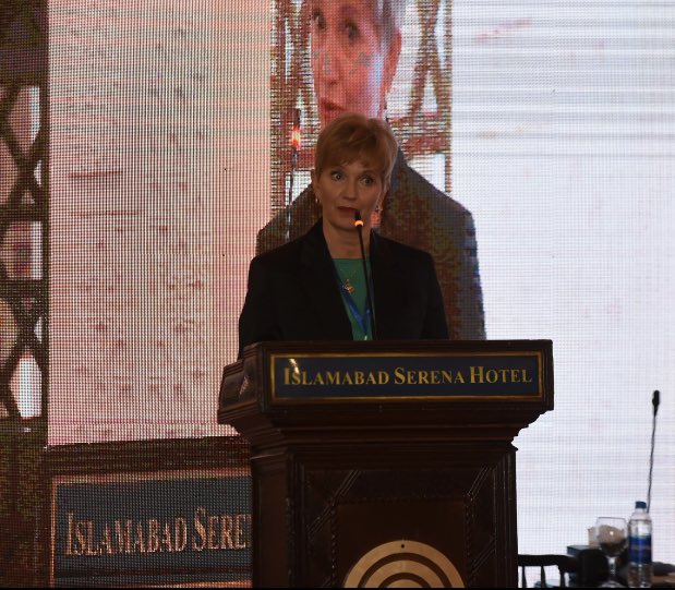 Finland - Pakistan Business Council tweet media