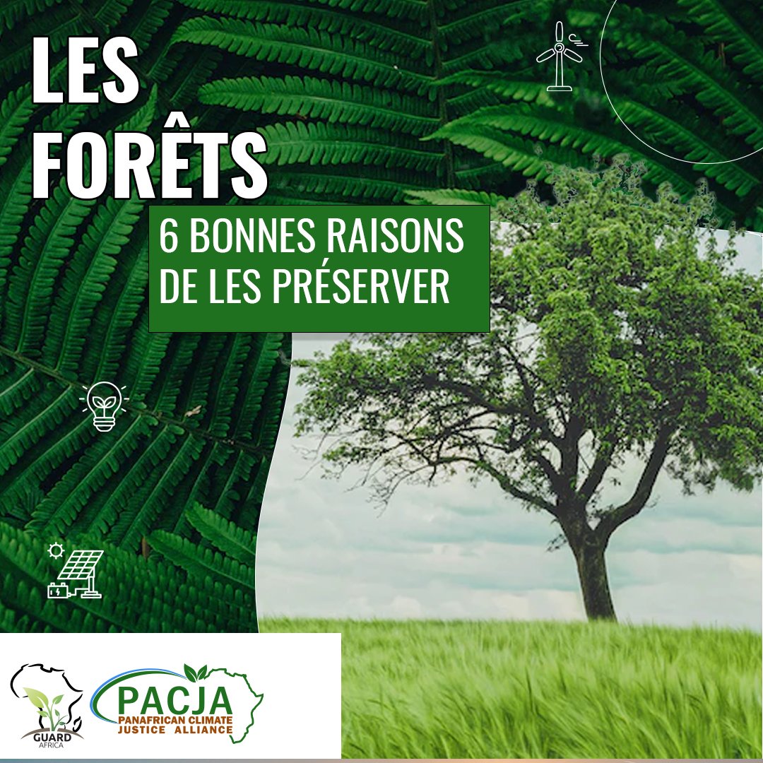 "Pour vous, pourquoi est-ce important de protéger les forêts ?
#forestweek
Pan African Climate Justice Alliance
PACJA GABON