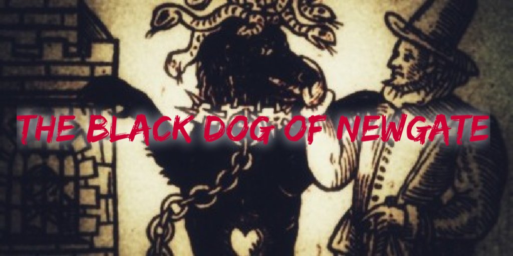 It's not unusual to find dogs in prisons, but Newgates ghostly good boy wasn't there to guard the inmates. Find out more at:
thestrangeways.co.uk/2023/02/the-bl…

#LazyBlogging @wakeup_blog #TeacupClub @PBLChat  #BloggersSparkle #worldbloggersRT 
@sincerelyessie @wetweetblogs
@UKBlogRT