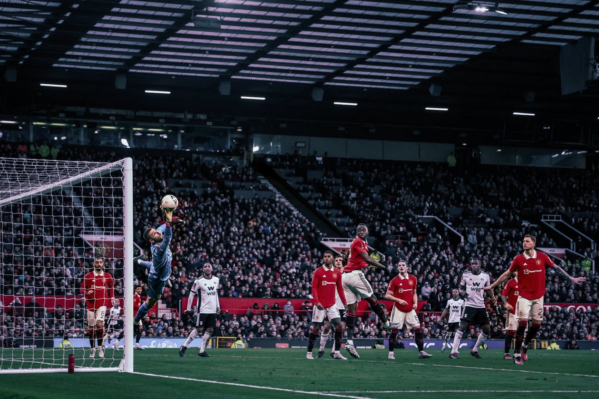UTDPIC tweet media
