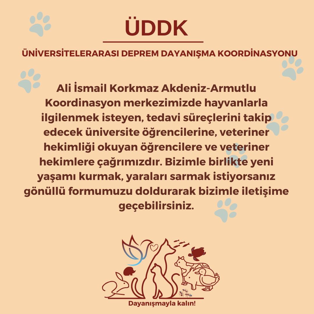 uniDepremK's tweet photo. 📣Deprem bölgesindeki hayvanlarla dayanışmak isteyen gönüllü öğrencilere ve veterinerlere çağrımızdır!

Deprem bölgesine gidip hayvanları yakından takip edebilir ya da dostlarımız için gerekli olan ihtiyaçlarımızı karşılamak için gönüllü formumuzu doldurarak bize ulaşabilirsiniz. https://t.co/FvhlZsjlDB