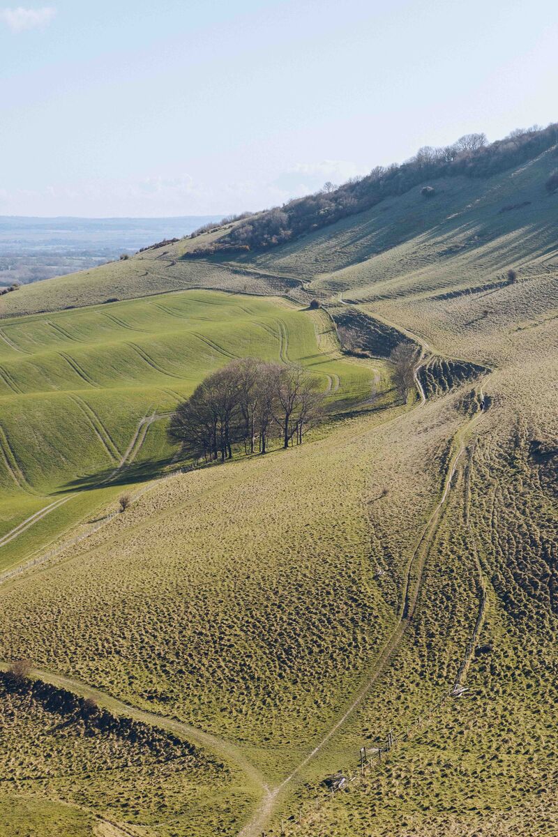 Here comes the light ✨ It's the first day of spring and the longer, warmer days are coming - so head to the Sussex Modern website for some extraordinary places to spend them. sussexmodern.org.uk #sussexmodern #springequinox