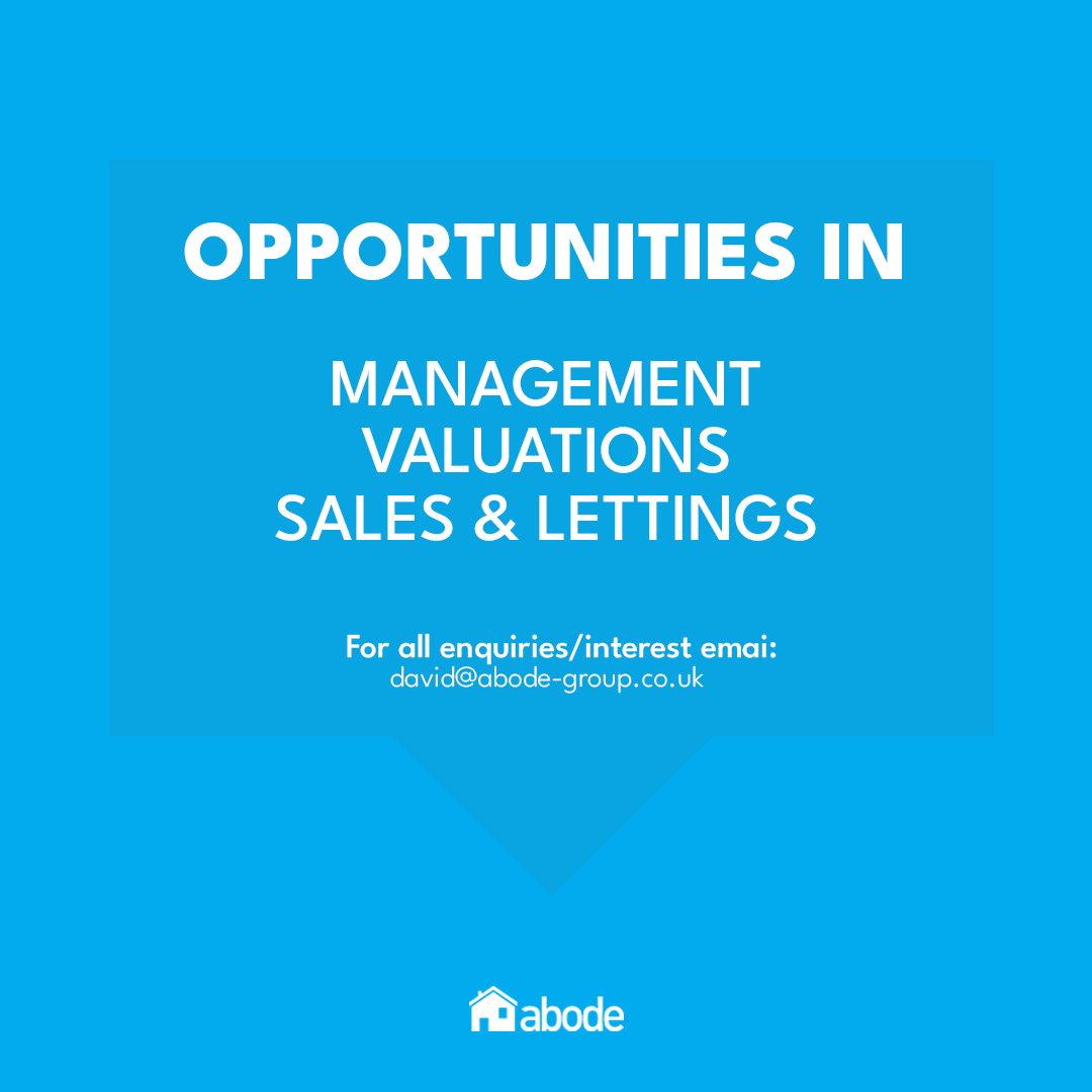 theabodegroup's tweet photo. Reminder. 

Know anyone who maybe interested?

Email us now:

david@abode-group.co.uk

#jobs #liverpool #estateagentjobs #allerton #valuations #salesandlettings #hiringliverpool #jobsliverpool https://t.co/Tw6u5gmQcJ