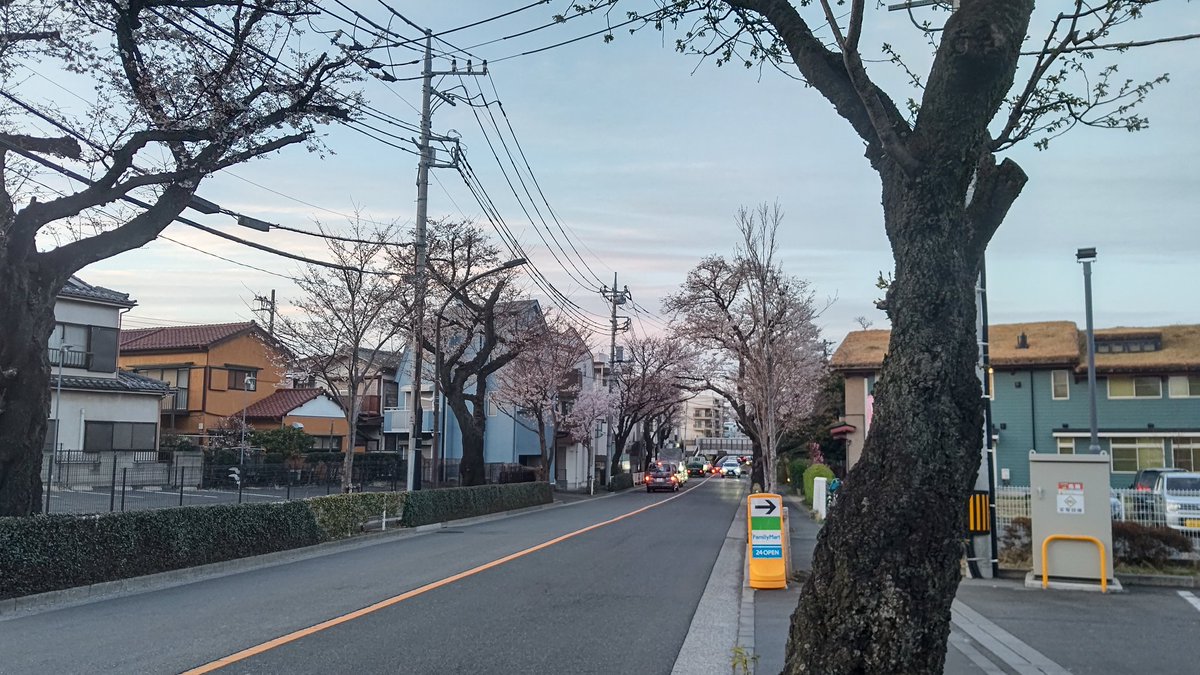test ツイッターメディア - 吉祥寺近くの東京で1番好きだった桜のトンネルが出来てた場所。
こちらもかなり開花してたけど、桜が剪定されており、トンネルにならなくなってた…(涙) https://t.co/dDJ2rA0cjx
