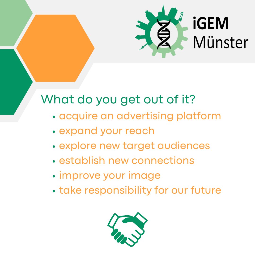 iGEM_Muenster's tweet photo. We want YOU! To work on our project we need resources such as money or lab equipment. You and your company can benefit from sponsoring us. Please feel free to contact us, if you are interested! @igem-muenster Mail: igem@uni-muenster.de https://t.co/eFLlaz0D3T
