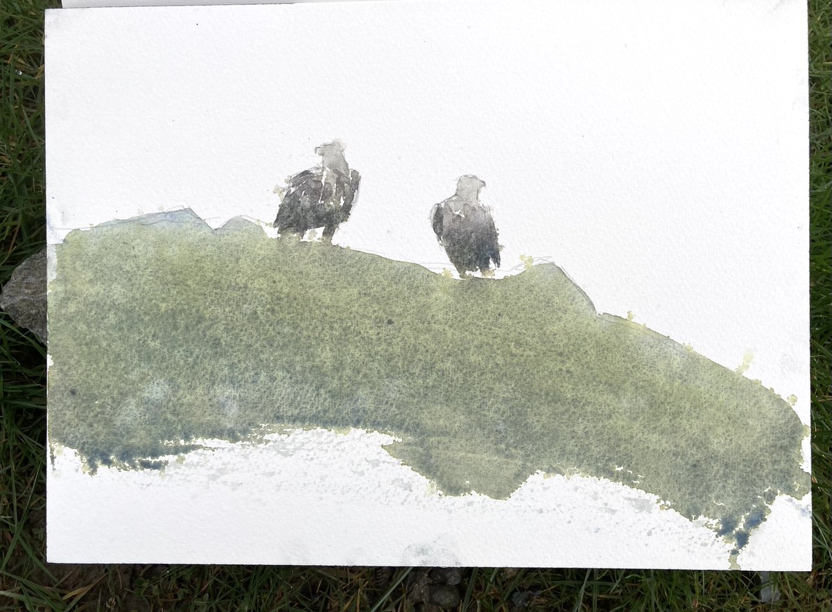 Darren Rees (@darrenreesart) on Twitter photo 5 min sketch in yesterday's drizzle on #skye #WildIsles <a href="/Eilean_Iarmain/">Hotel Eilean Iarmain</a> <a href="/VisitScotland/">VisitScotland</a> <a href="/SpeyWildlife/">Speyside Wildlife</a> <a href="/ScotlandTBP/">SCOTLAND: The Big Picture</a> <a href="/ScottishBirding/">The SOC</a> <a href="/BTO_Scotland/">BTO Scotland</a> <a href="/RSPBScotland/">RSPB Scotland</a> 5 min sketch in yesterday's drizzle on #skye #WildIsles <a href="/Eilean_Iarmain/">Hotel Eilean Iarmain</a> <a href="/VisitScotland/">VisitScotland</a> <a href="/SpeyWildlife/">Speyside Wildlife</a> <a href="/ScotlandTBP/">SCOTLAND: The Big Picture</a> <a href="/ScottishBirding/">The SOC</a> <a href="/BTO_Scotland/">BTO Scotland</a> <a href="/RSPBScotland/">RSPB Scotland</a>