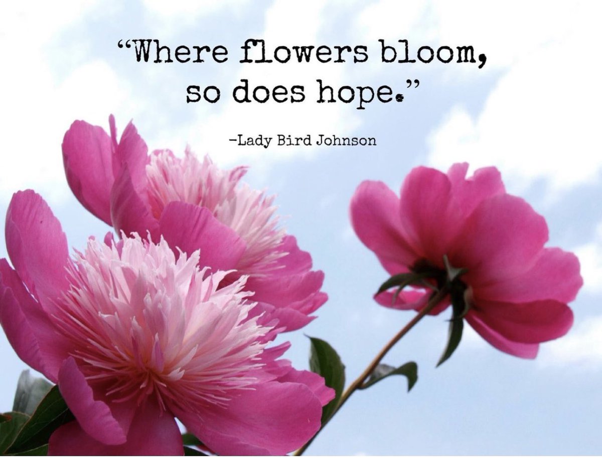 Wendy Wansor tweet media