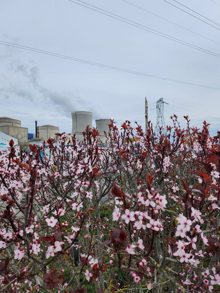 Éric PETIT tweet media