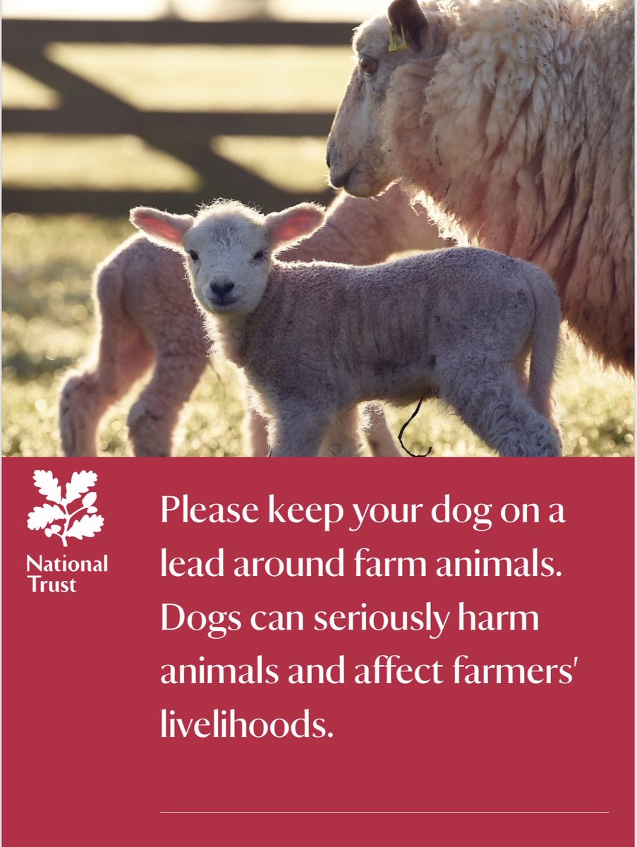 Please remember to keep your dogs on a lead during lambing time. This applies to fields you are walking through where animals are visible but also through sites like Eaves Wood which are adjoining farmland.  

#DogsOnLeads 

#RespectProtectEnjoy