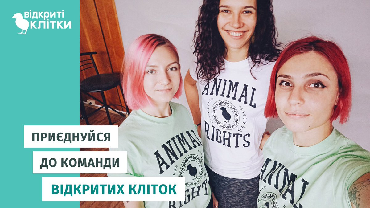 opencages_ua's tweet photo. Хочеш допомогти тваринам, яких експлуатують на промислових фермах, але не знаєш як? 
Долучайся до команди Відкритих кліток — твори зміни в суспільстві, бізнесі та законодавстві!

Подай заявку на #волонтерство за посиланням: https://t.co/M6QXlEILQt https://t.co/sw4srykRVF
