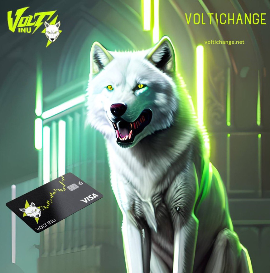Volt Inu ⚡️ tweet media