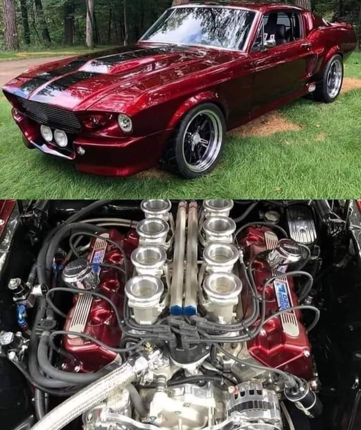 Johnny Cadillac tweet media