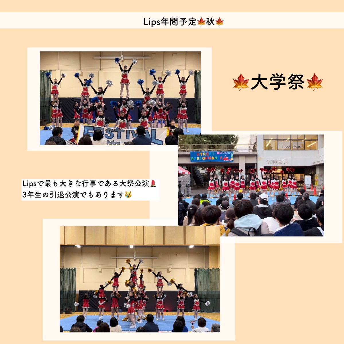 lips_cheer's tweet photo. こんにちは！チアリーディングサークルLipsです💄💖

今回は年間予定 秋 編です🍁

秋にはついに大学祭公演があります‼️
大学祭公演は最上級生3年生の引退公演でもあり、Lipsの最も重要な行事でもあります❤️‍🔥❤️‍🔥

明日は冬編の投稿です~⛄️⛄️
#春から千葉大 https://t.co/hwa7Cncp1B