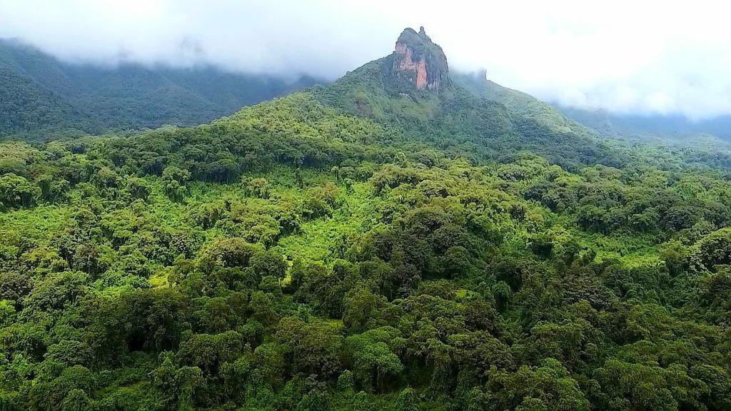 ምርጥ ሀገር አለን። ዓይናችንን ገልጠን ብንሠራ ለዓለም መስሕብ መሆን የሚችሉ በርካታ ቦታዎች በሀገራችን አሉ። አካባቢያችንን እንቃኝ፤ አካባቢያችንን እንፈትሽ። የኔ ያልነውን የጋራ ሀብት እናድርግ፤ እናልማ፤ አበረን ተግተን ሠርተን እንበልጽግ።