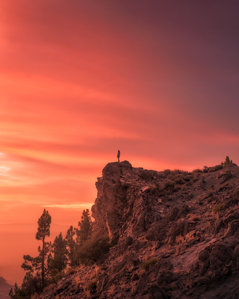 Colores del Parque Nacional del Teide🌅.
Recopilación de atardeceres que he tomado en los últimos años en este increíble lugar❤️