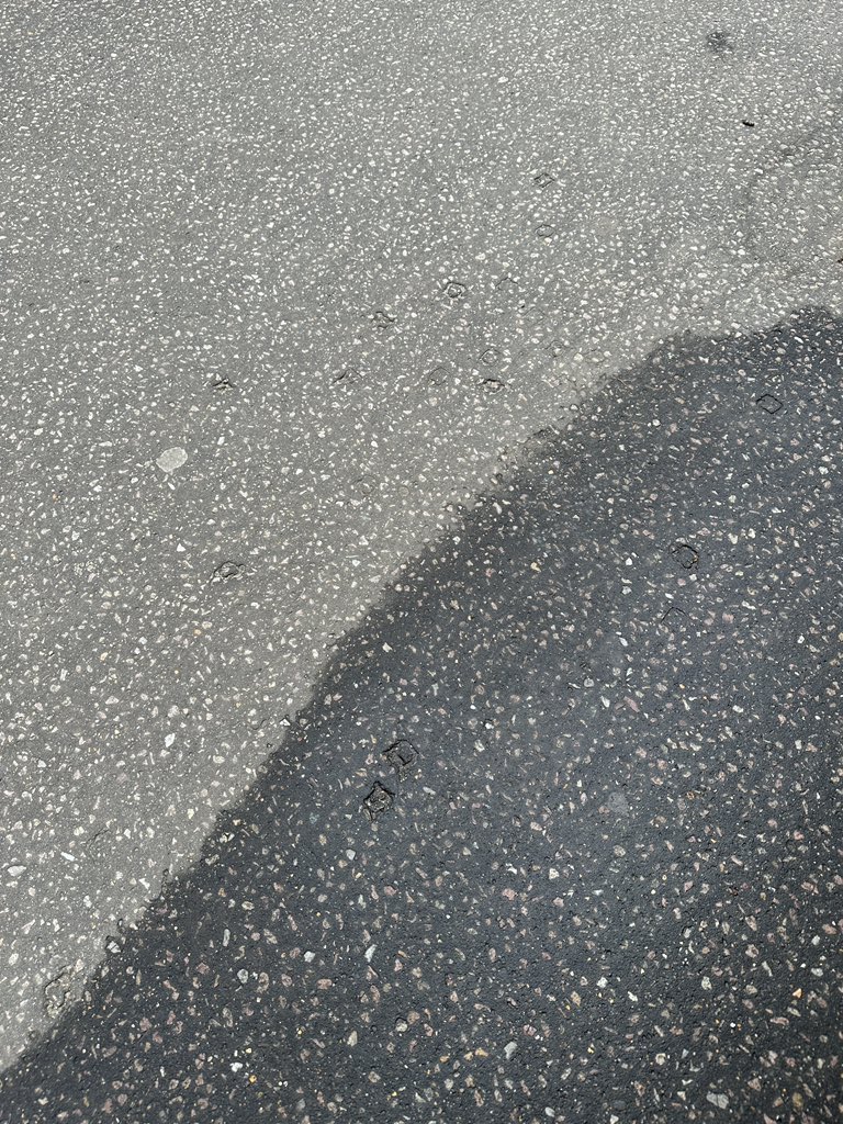 mRr3b00t tweet media