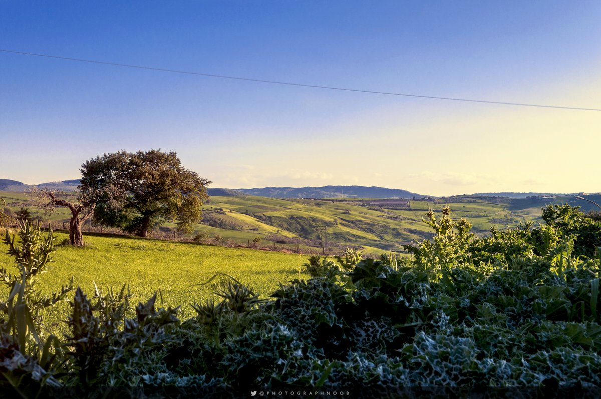 Casalnuovo Monterotaro, Puglia (Nikon D90)

#Italy #Italia #photography #fotografia #amateurphotography #nikond90 #nikonphotography #puglia #casalnuovomonterotaro #montidauni #capitanata #campagna #countryside