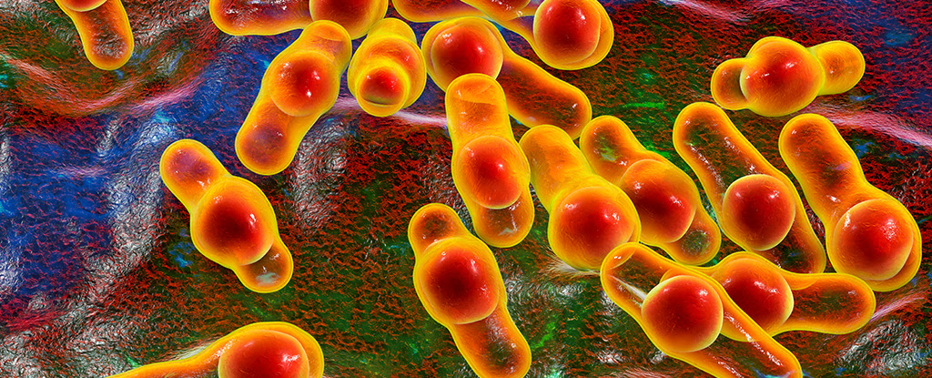 insight_know's tweet photo. Paralysis Outbreak in Europe Tied to 'Stomach Botox' Procedures
https://t.co/5YMTLU1GOZ https://t.co/inzOC0RW2W