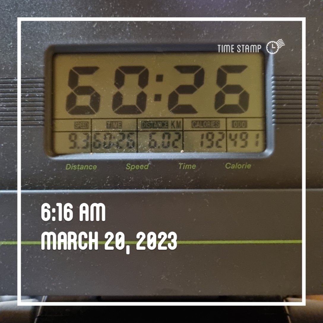 또바기개나리 tweet media