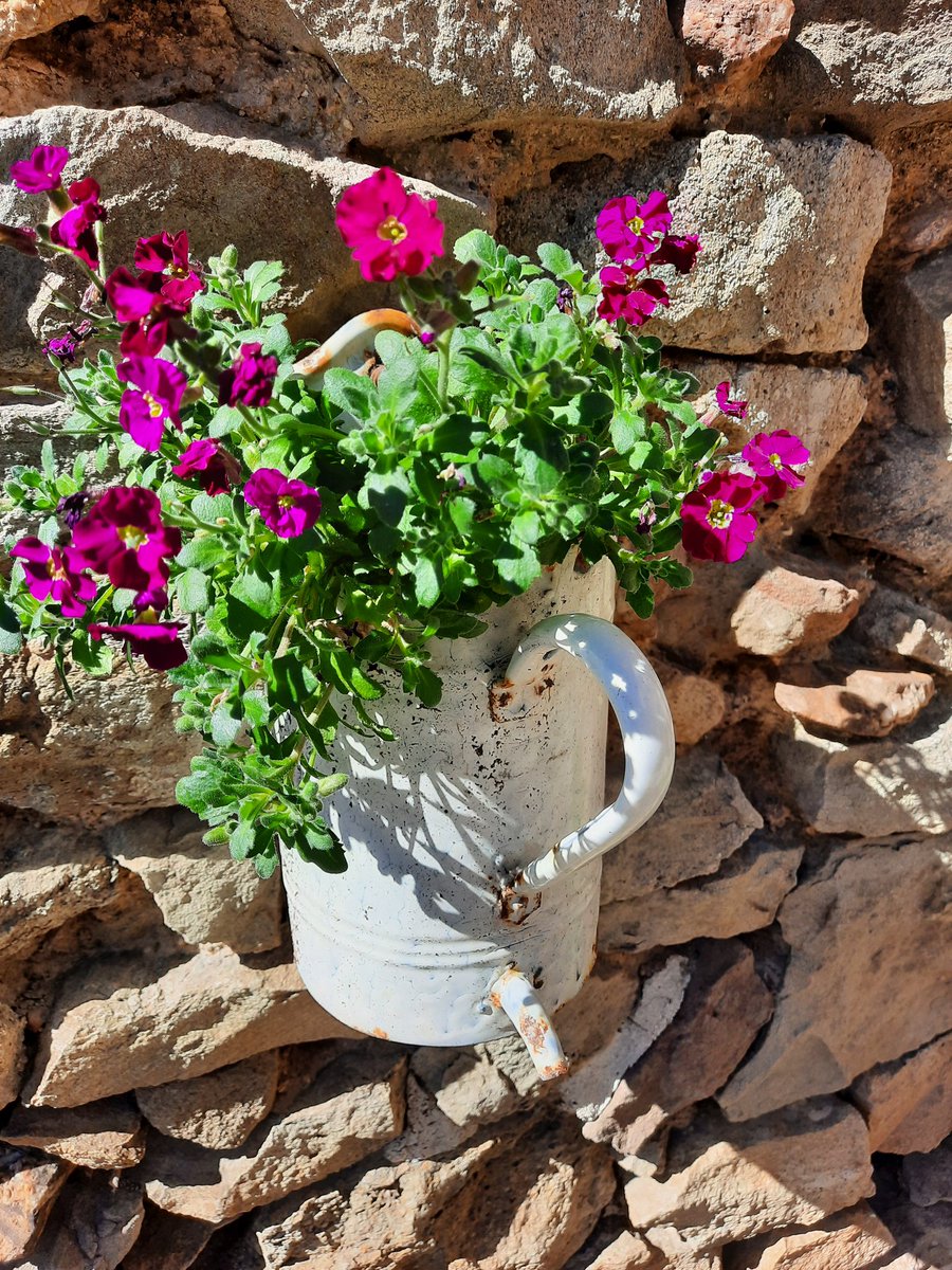 MagnoliaFrance's tweet image. It's a beautiful day here today. #Azille #sunshine 😎🌞🌻🌼 #HappyMonday