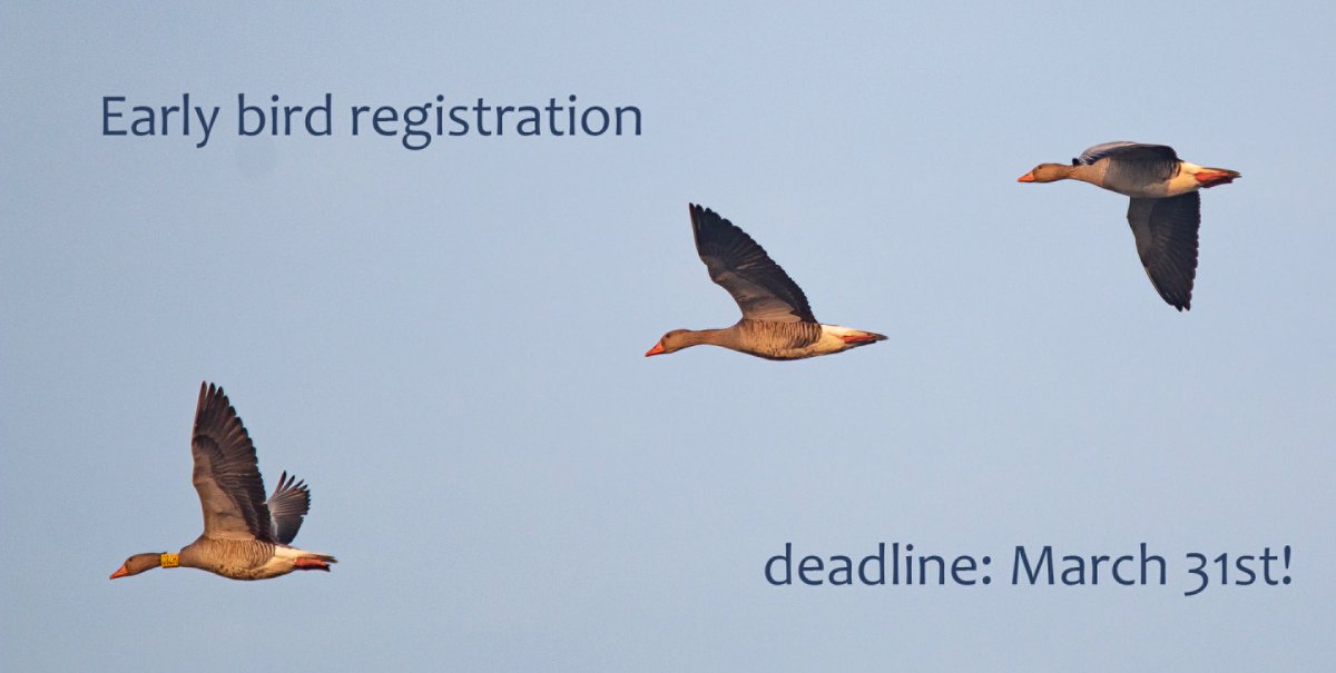 They say ‘the early bird gets the worm’ …🐛 🪱 🐛 🪱 🐛 🪱🐦

If you’re an early bird and register before April 1st, you’ll be rewarded with a great meeting at a discounted price. (No joke!)

Join us in Lund!

eou2023.event.lu.se/form/registrat…